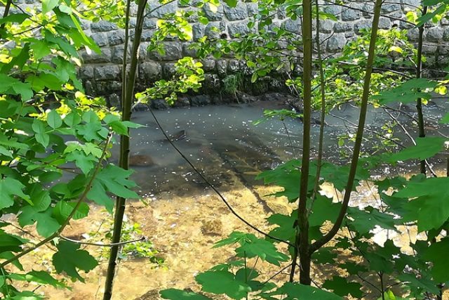Voda v říčce Čistá znečištěná odpadními vodami ze společnosti AVON AUTOMOTIVE | foto: Česká inspekce životního prostředí