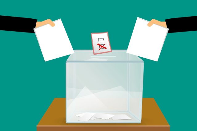 Krajské volby jsou volby se svými specifiky | foto:  mohamed_hassan,  Pixabay