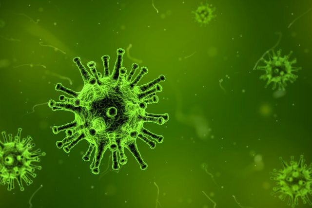 Virus | foto: Arek Socha,  Pixabay,  CC0 1.0