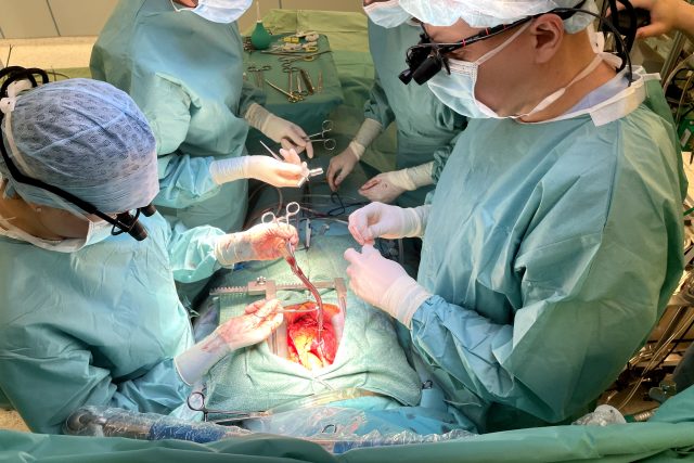 Dnes už je transplantace ledviny rutina  (ilustrační foto) | foto: Ondřej Vaňura,  Martin Pařízek,  Český rozhlas,  Český rozhlas