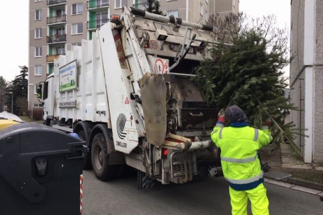 Hradecké technické služby odklízí použité vánoční stromky | foto: Lucie Peterková