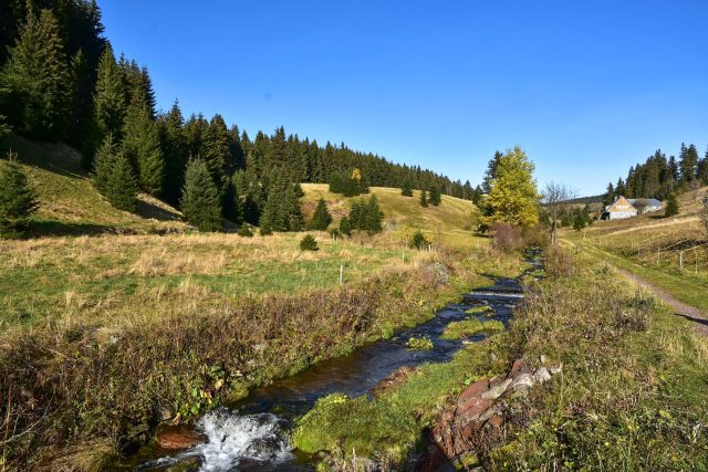 Potok Černá voda,  přítok Malé Úpy | foto: Karel Engliš,  Český rozhlas