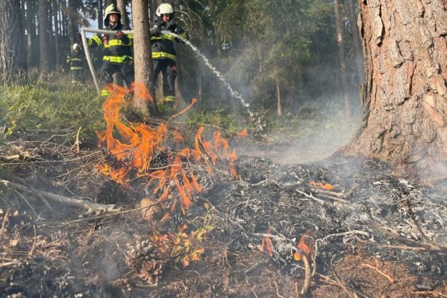Tři jednotky hasičů likvidovaly požár lesní paseky v Náchodě | foto: HZS Královéhradeckého kraje