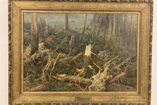 Tragedie lesa od Václava Březiny slaví 120 let | foto: Romana Joudalová,  Český rozhlas