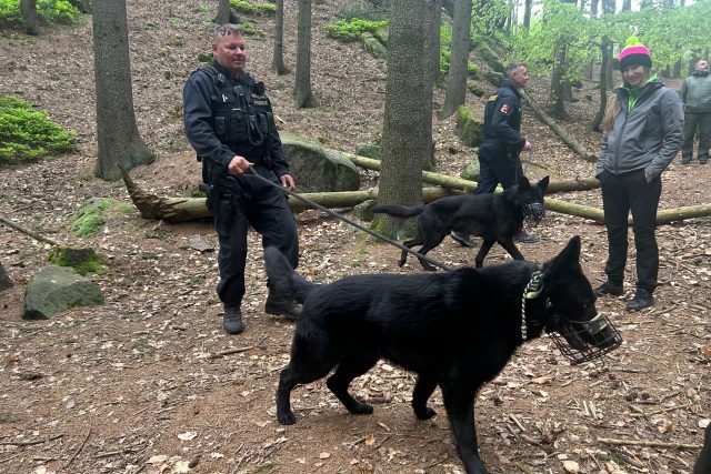 Jičínští policejní psovodi trénují před hlavní turistickou sezónou v Prachovských skalách | foto: Kateřina Kohoutová,  Český rozhlas