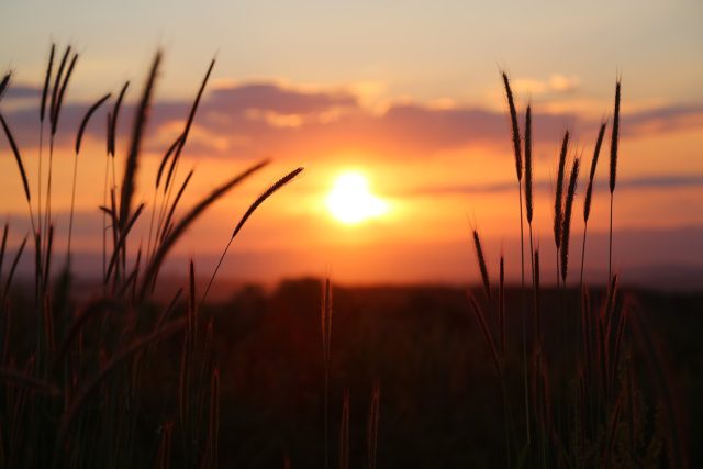 Západ slunce | foto: Pixabay,  CC0 1.0